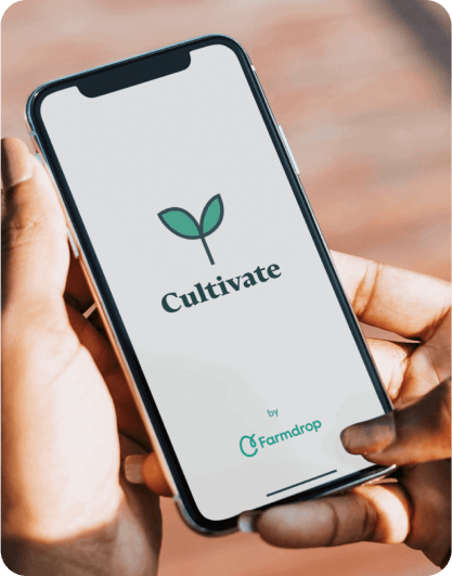 Cultivate app loading screen on a mobile phone held by a hand