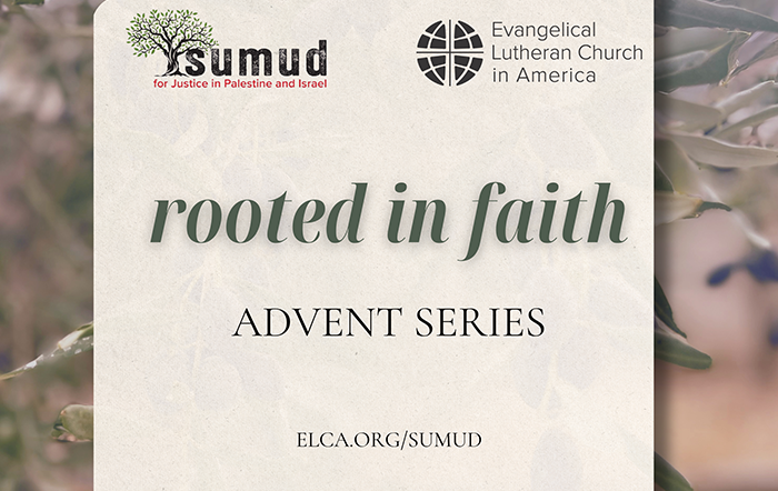 Sumud Rooted in faith advent series banner