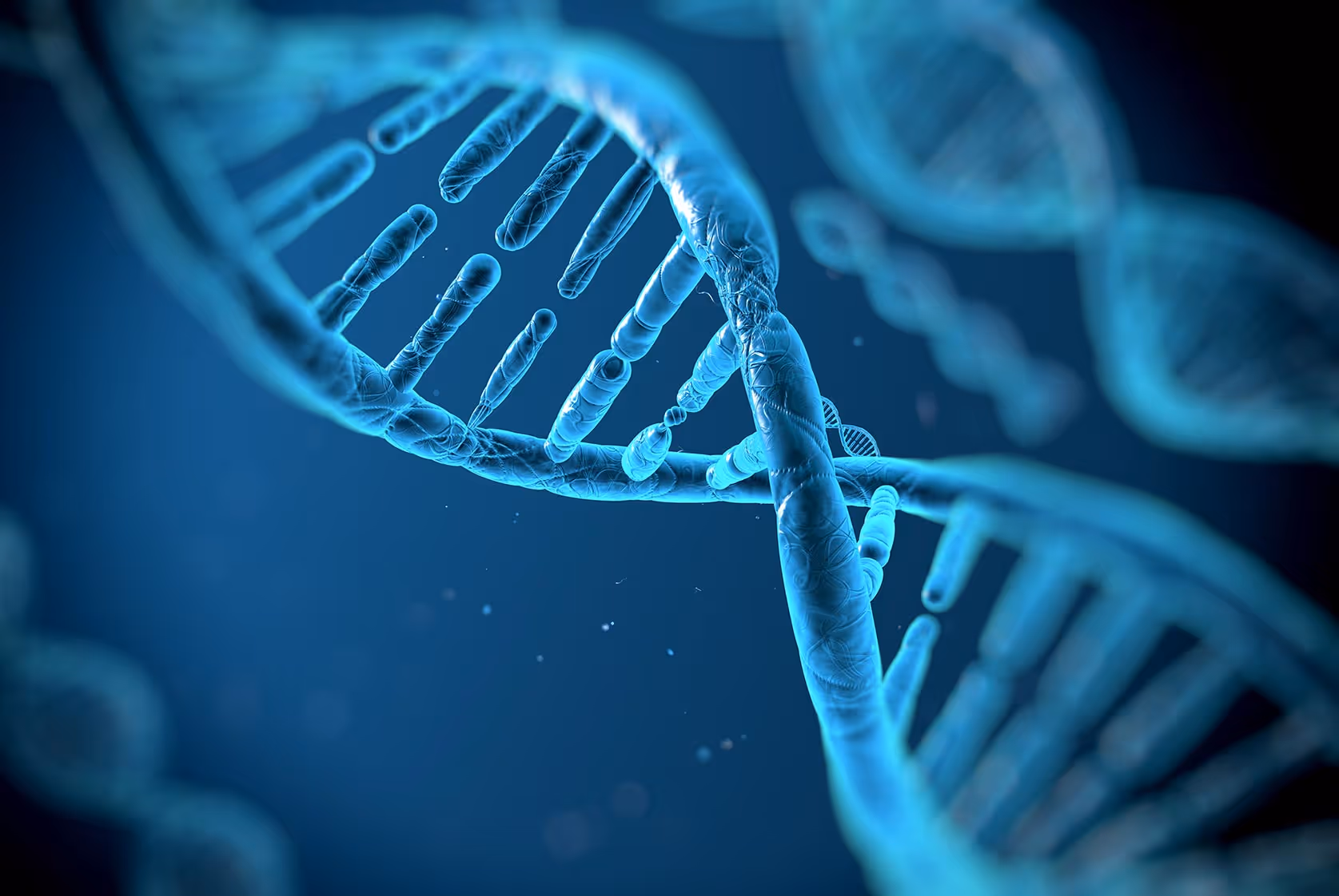 DNA