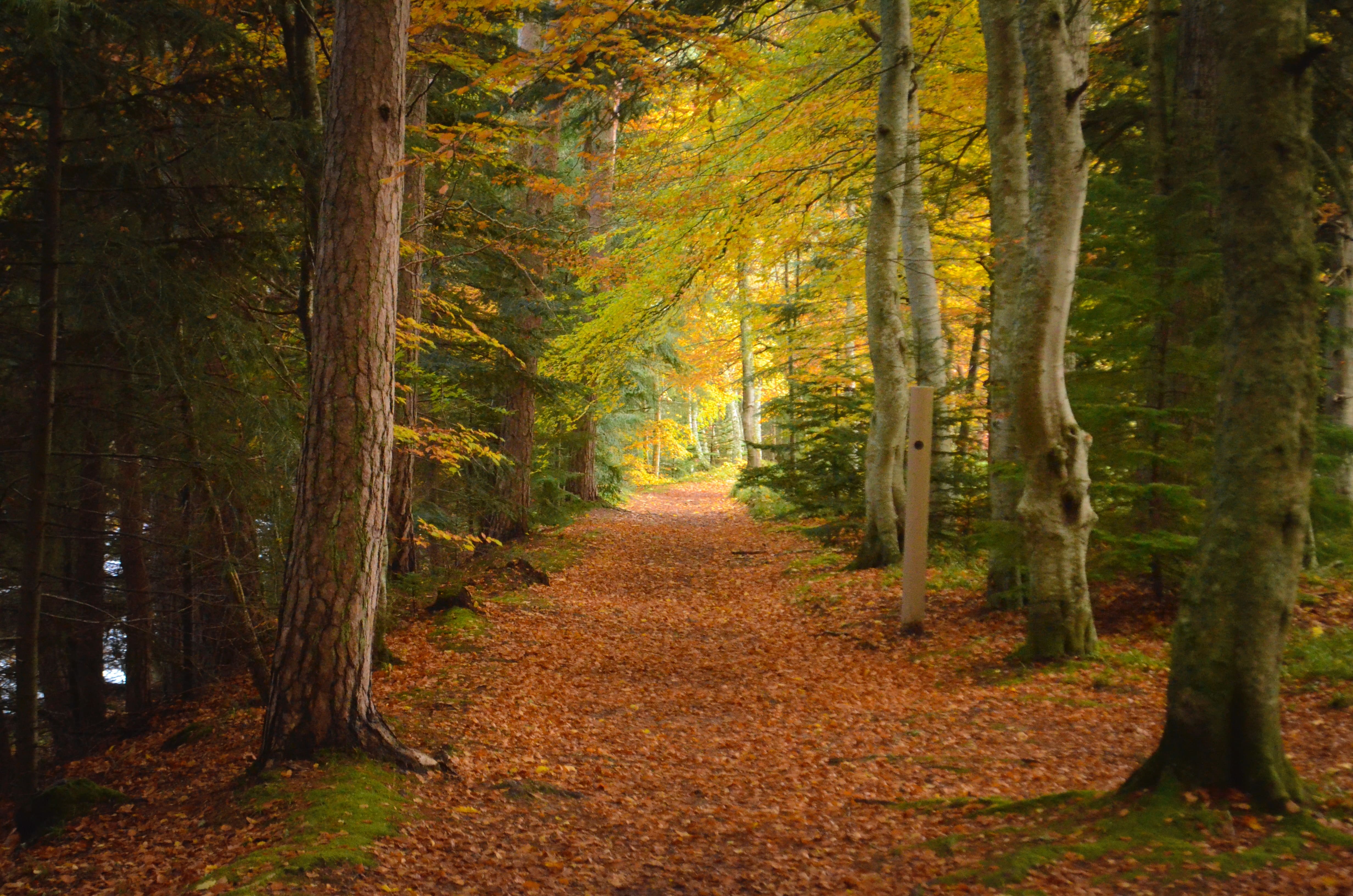 Herbstspaziergang