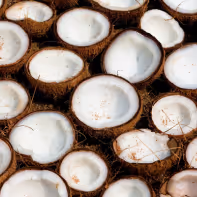 Coconuts