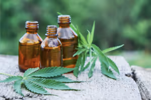 Flavoring CBD is important to create a good product