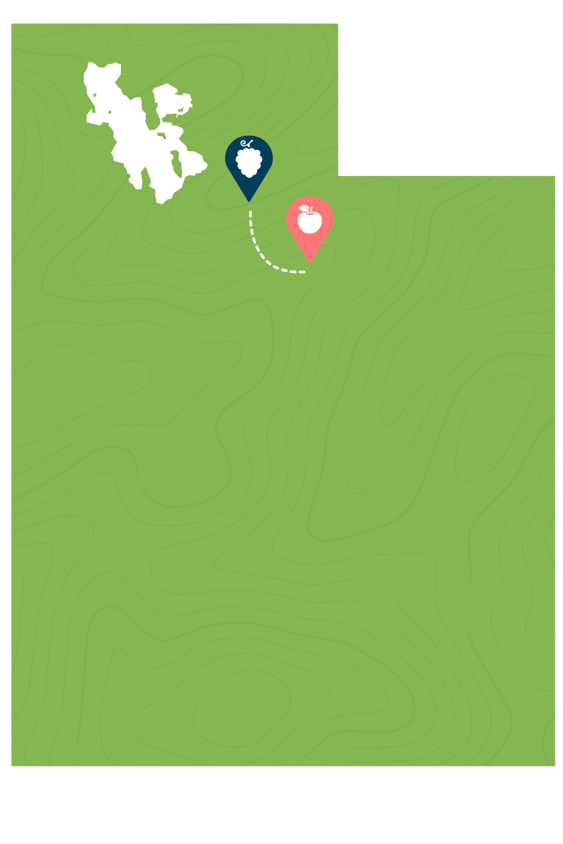 Lehi Sensapure Building