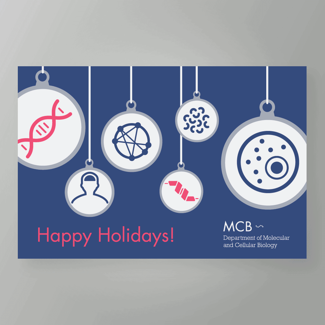 sequence of holiday card designs