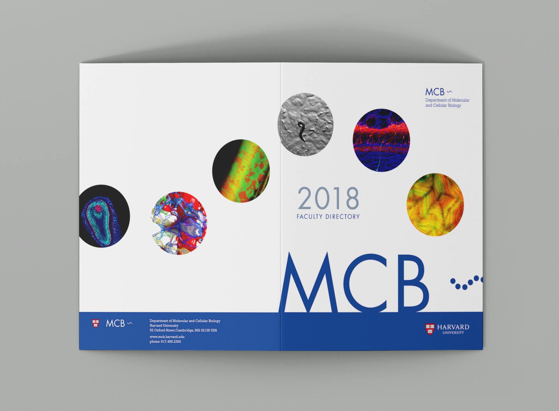 A different layout for the front and back covers of 2018 MCB Faculty Guide