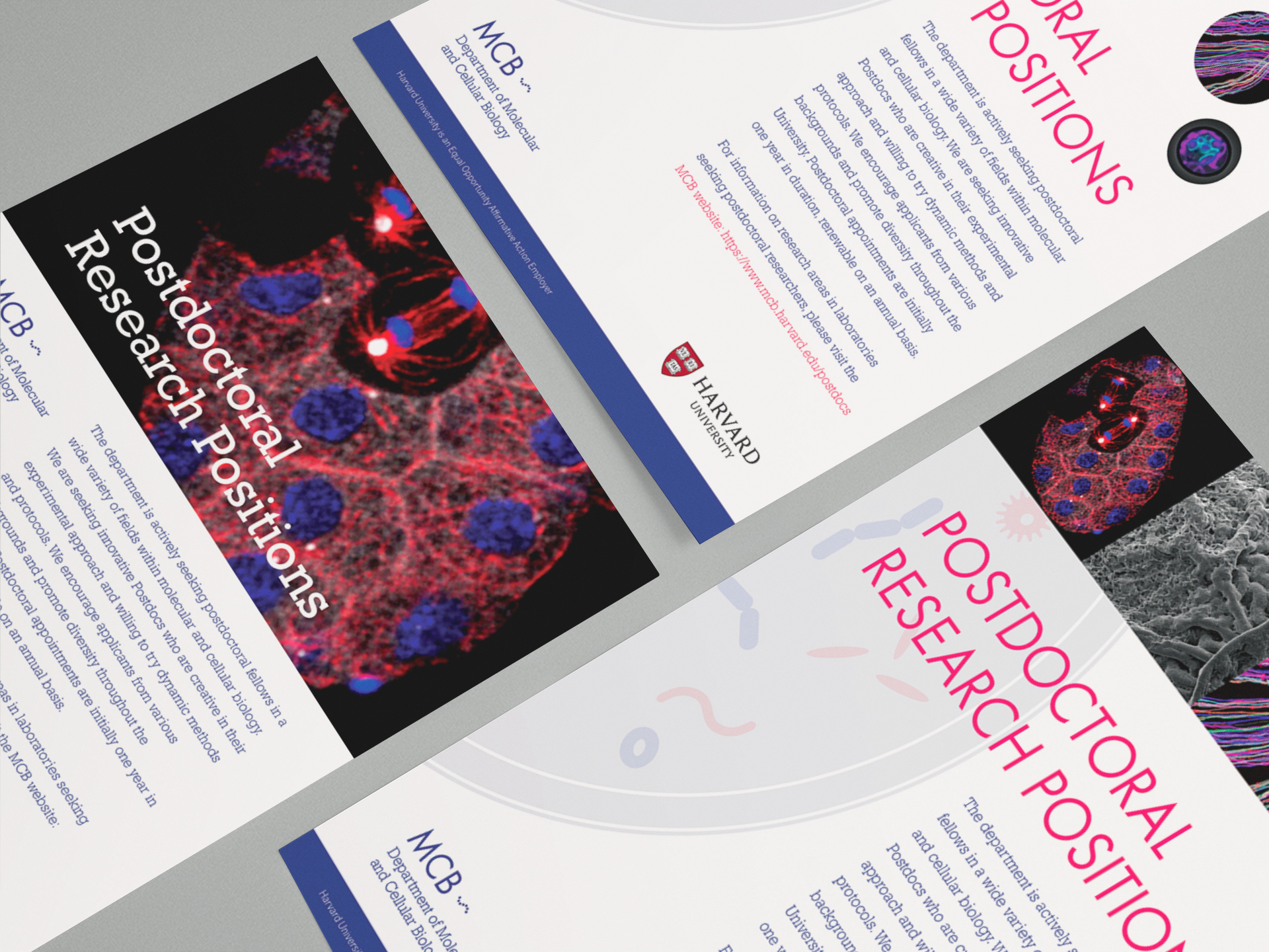 three alternate layouts for MCB job postings