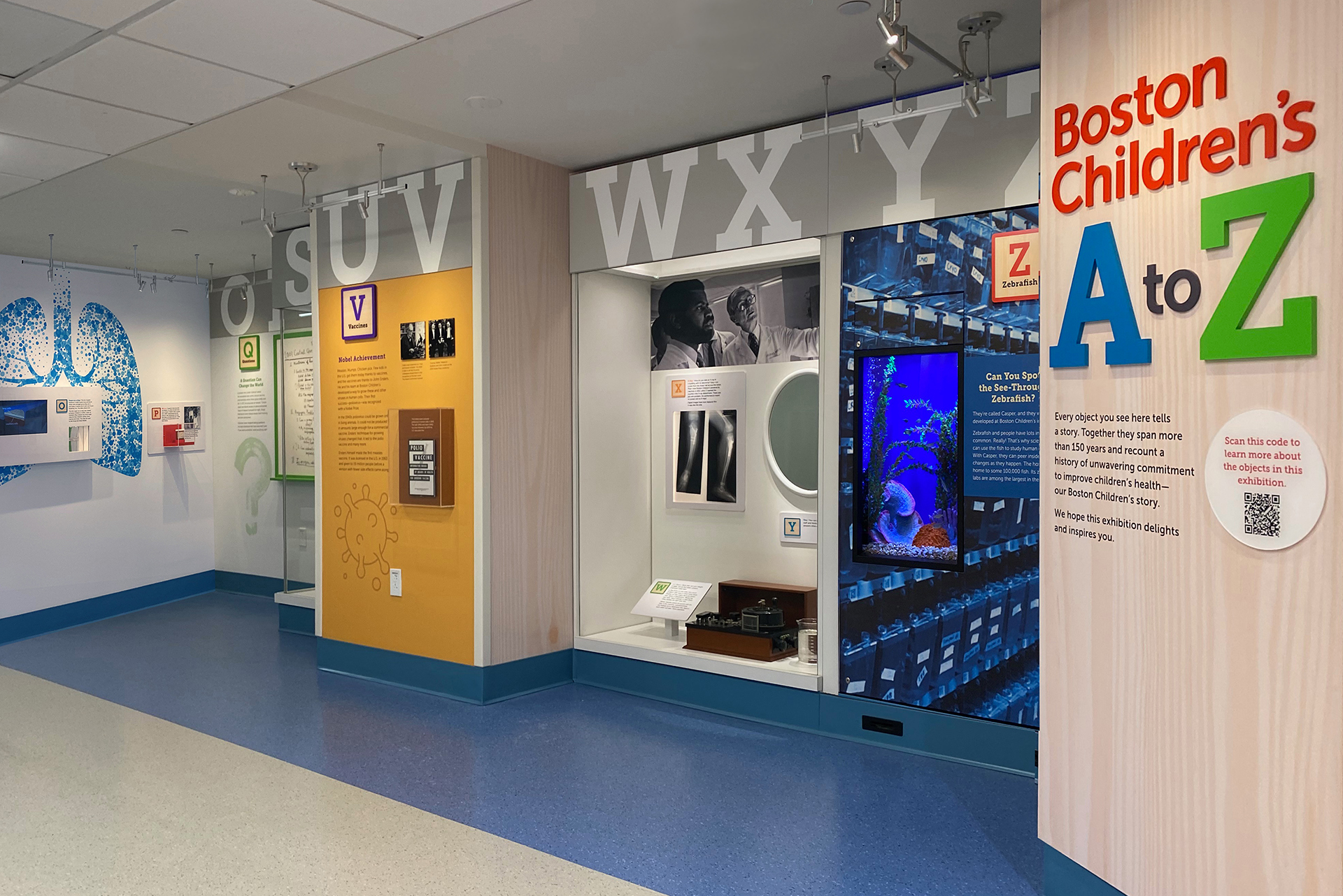 string of letter blocks U to Z with artifact case and zebrafish aquarium; exhibit title panel is on the right