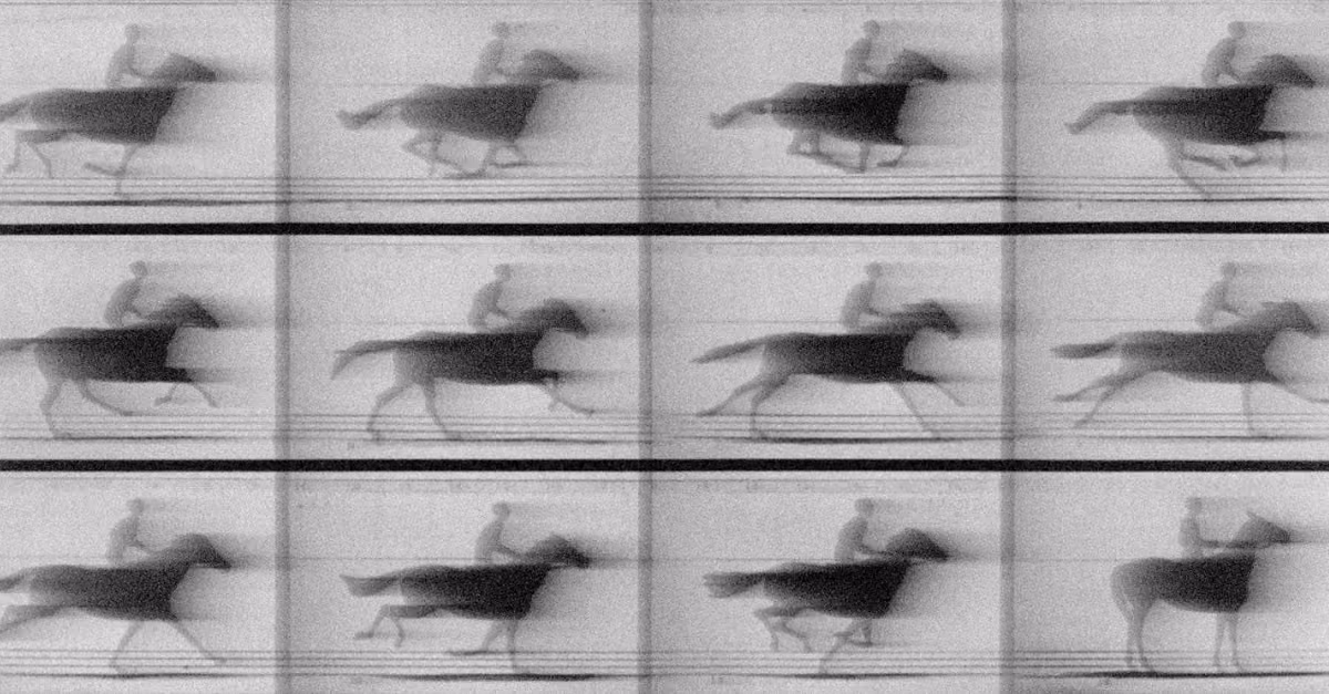 Muybridge horse running photo.