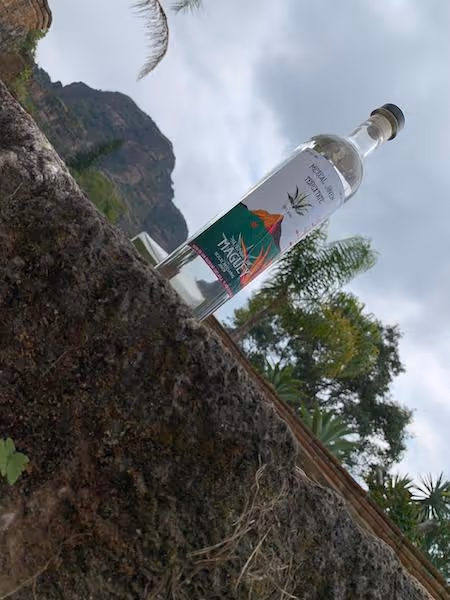 Suenos de mezcal 3
