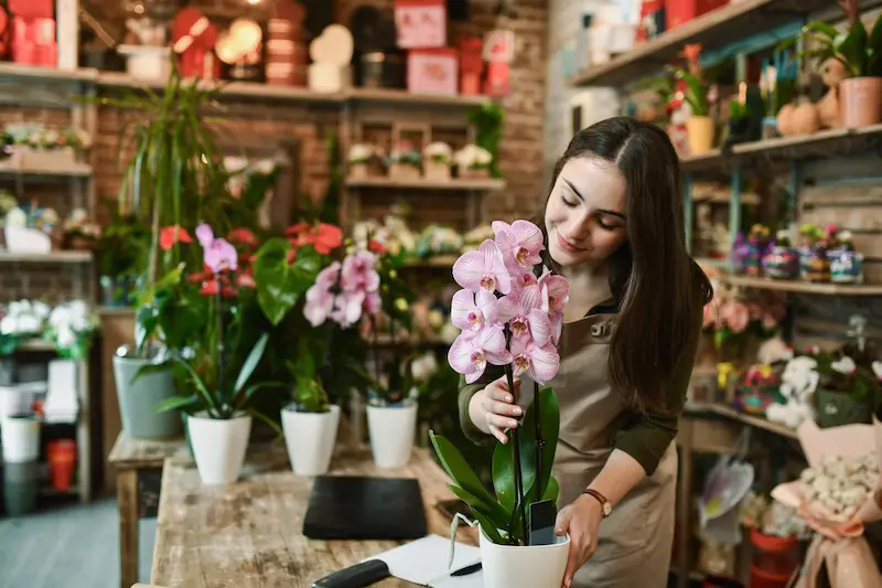 La terminal de pago para pequeños negocios que florece con cada venta