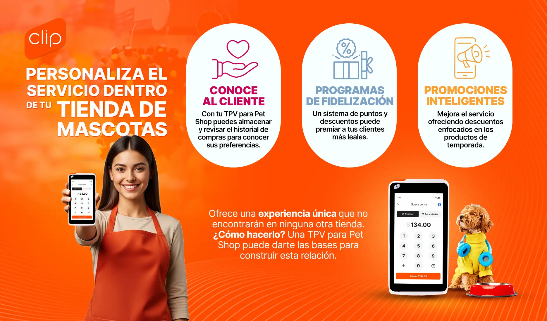 Emprendedora muestra en su celular como personalizar servicio en tiendas de mascotas