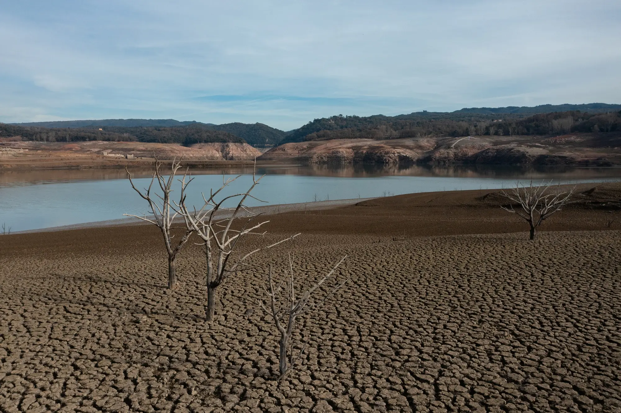 Dry cracked lakebed with several leafless trees and water in the background under a cloudy sky.