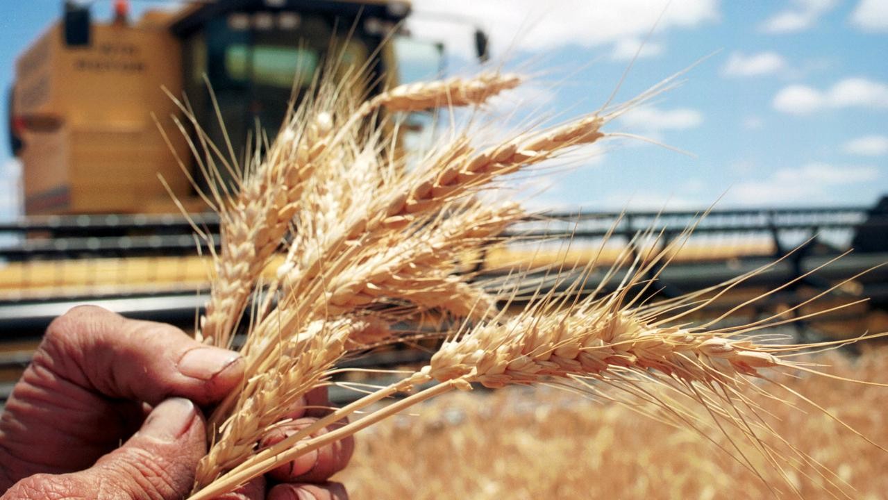 What business leaders must know about rising Agri-industry risks.