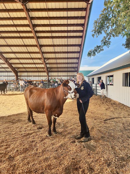 Lilly Veselka with her breeding project cow. Photo credit: Rachel Reynaga