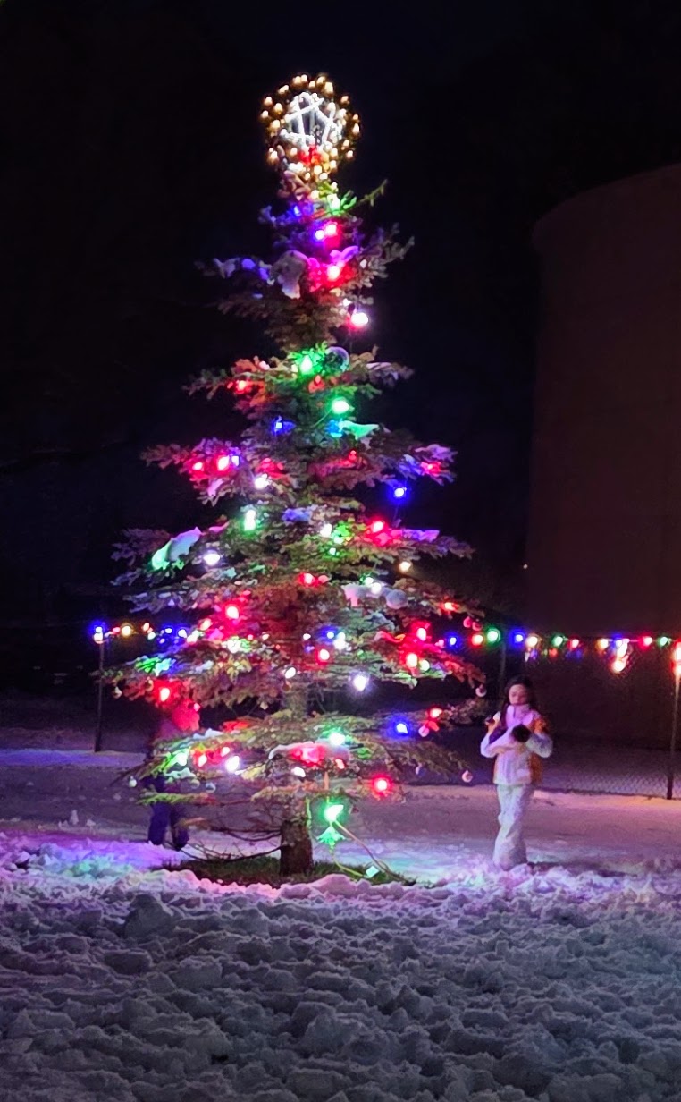 Children enjoy the glow of lights on New Meadows’ Christmas Tree.Photo credit: Rachel Reynaga.