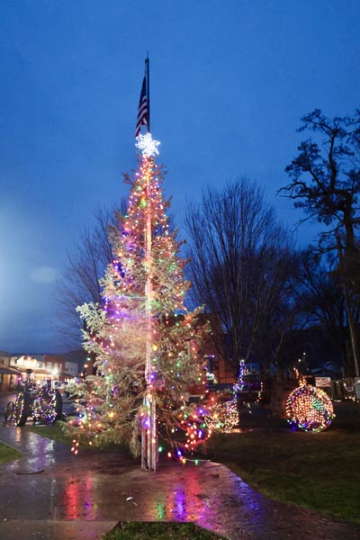 Council’s Christmas Tree. Photo credit: The Record Reporter.
