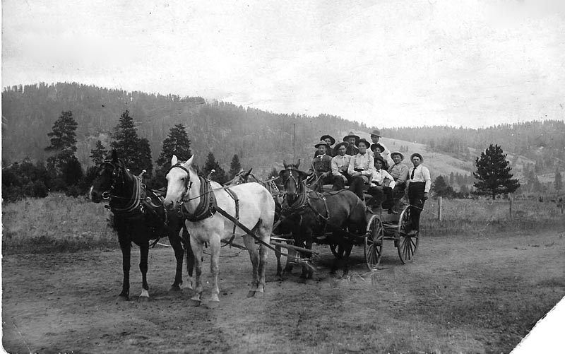 A stage wagon at Meadows in 1901.