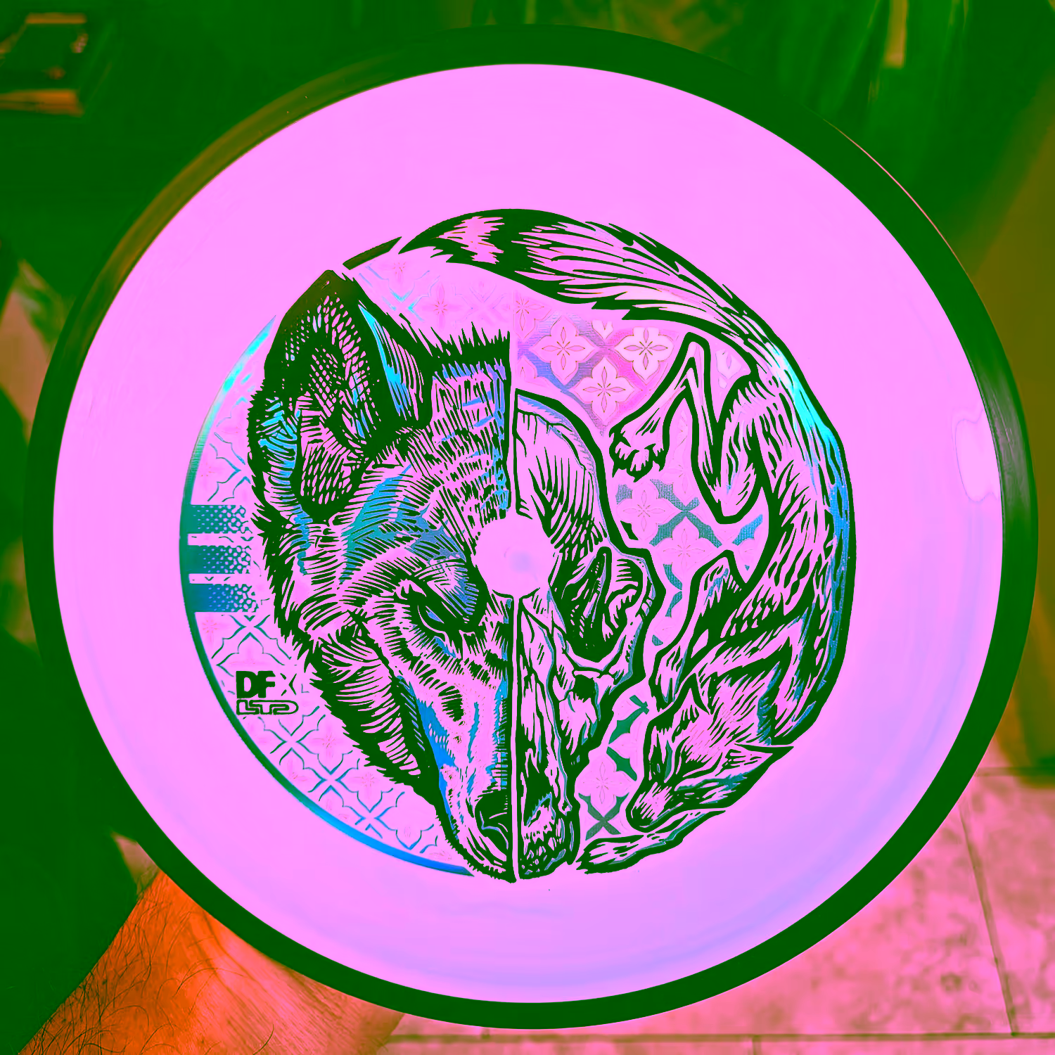 📸: Chris Michael Fo