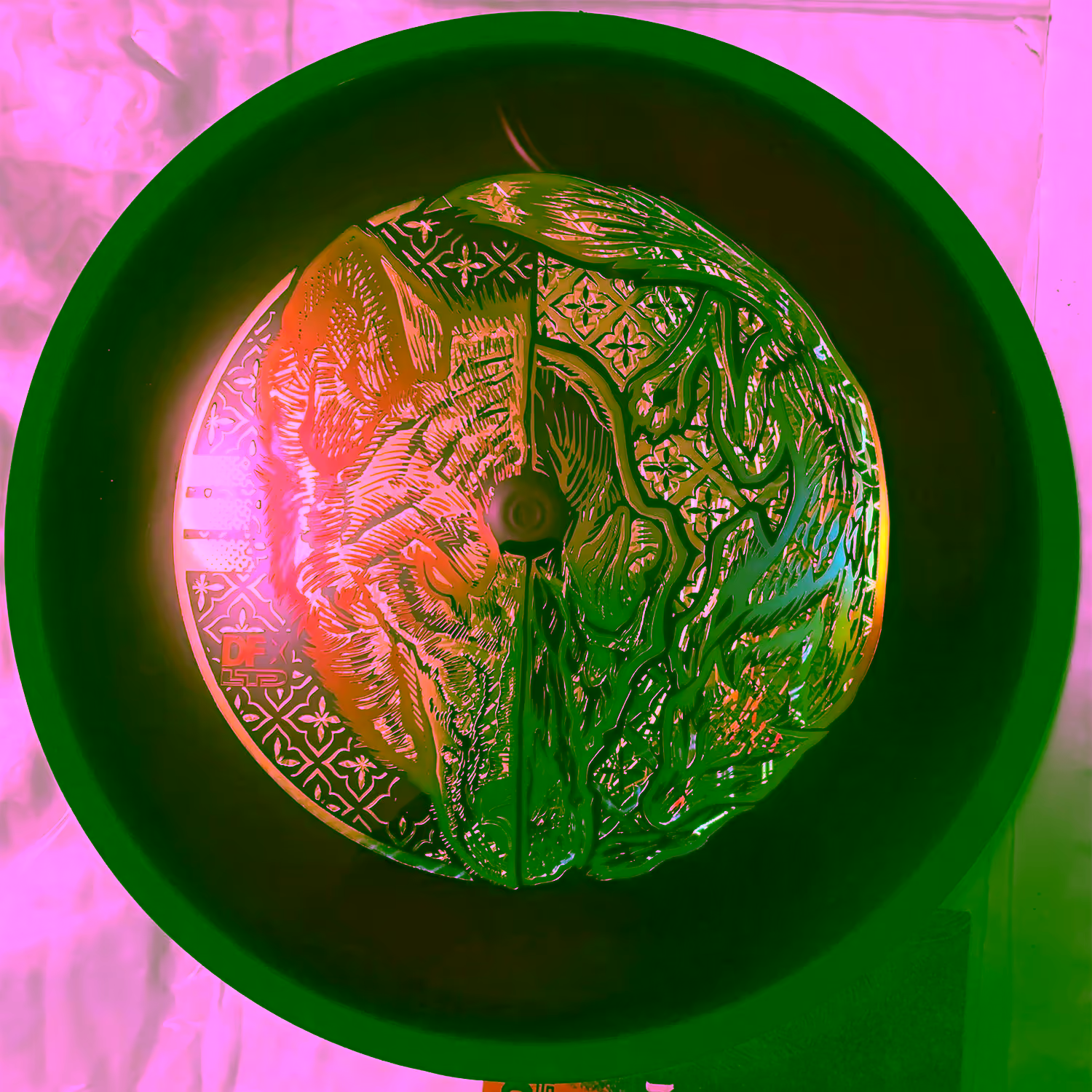 Golden Goose | 📸: Levi Whitpan