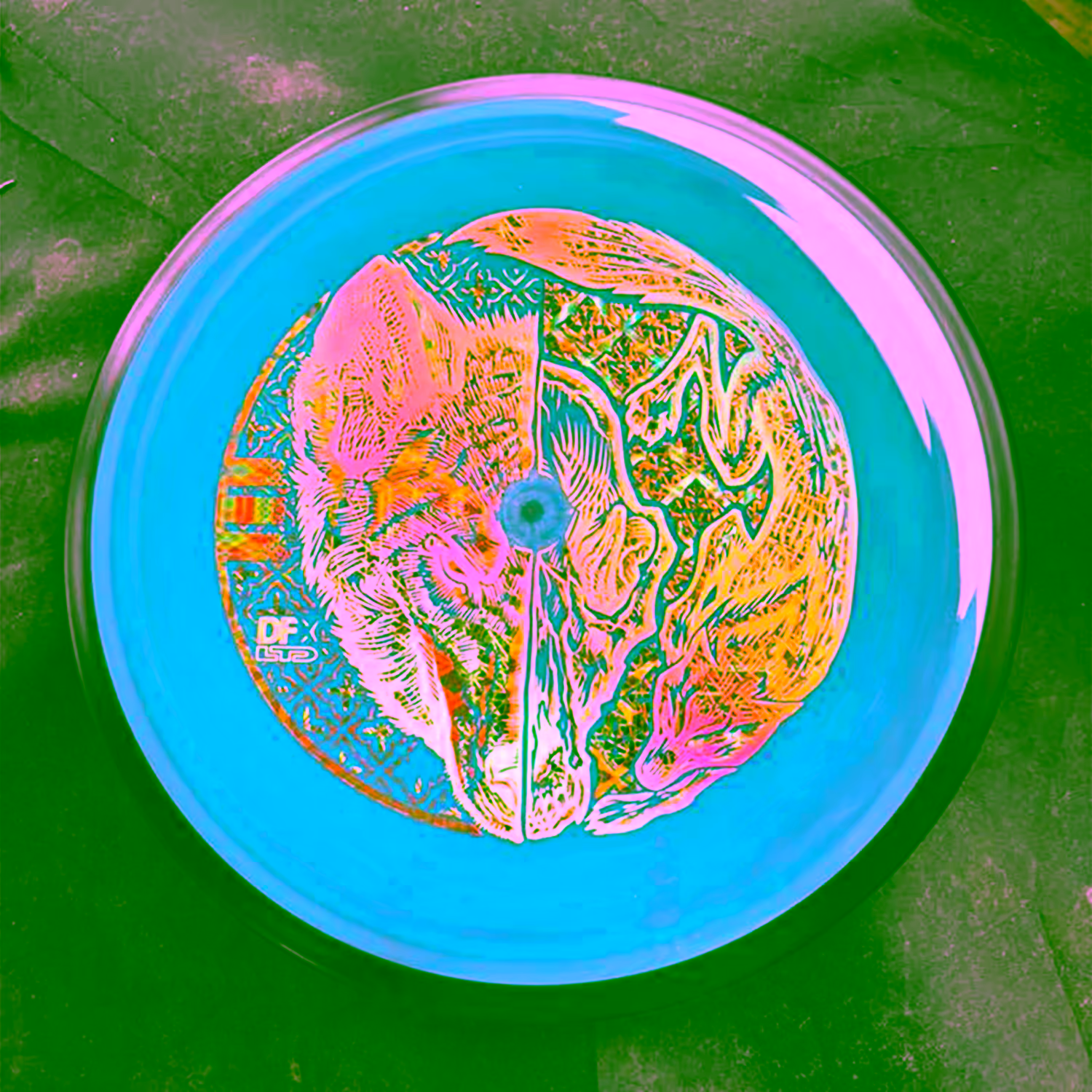 Golden Goose | 📸: Jason Rocha