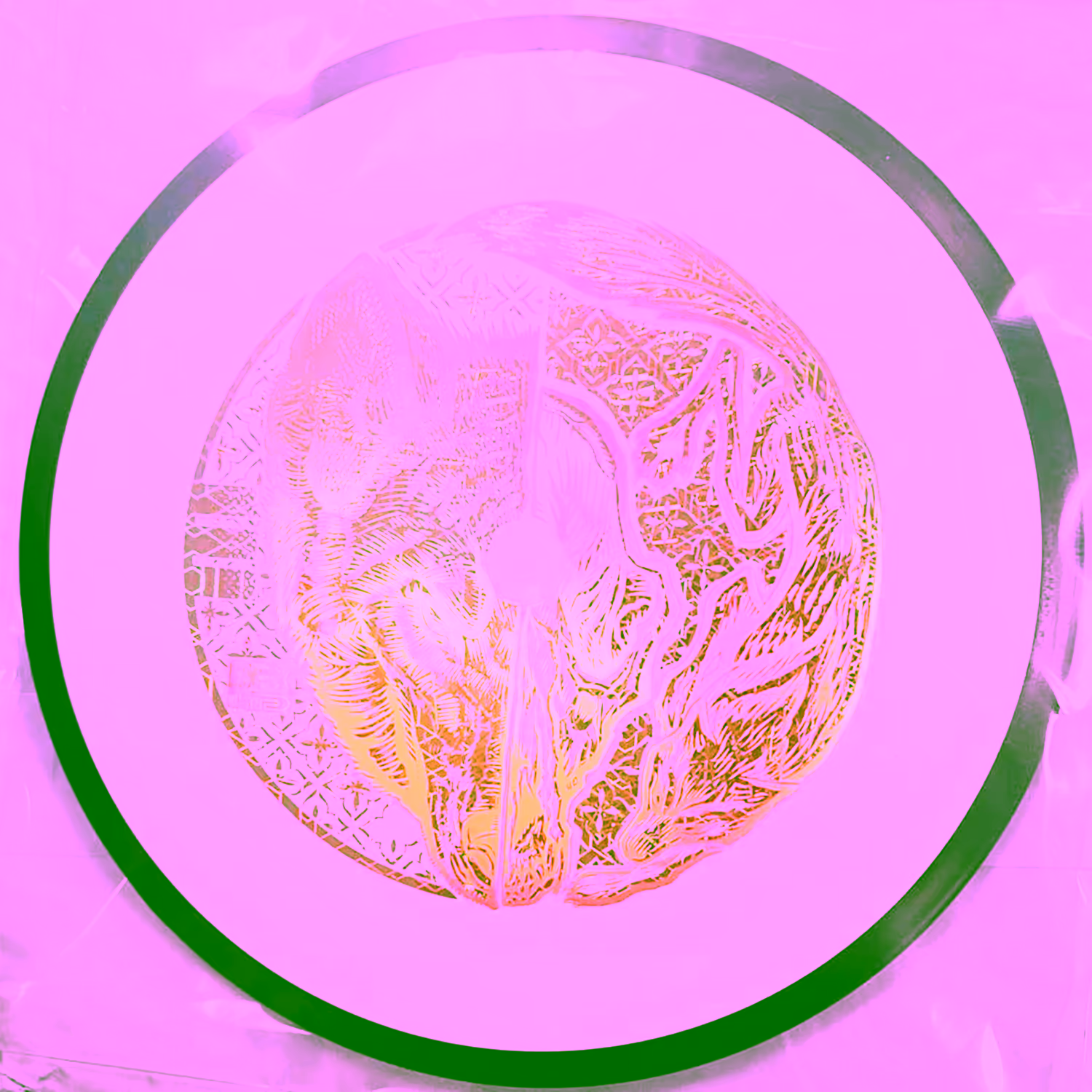 Golden Goose | 📸: Gabe Russell