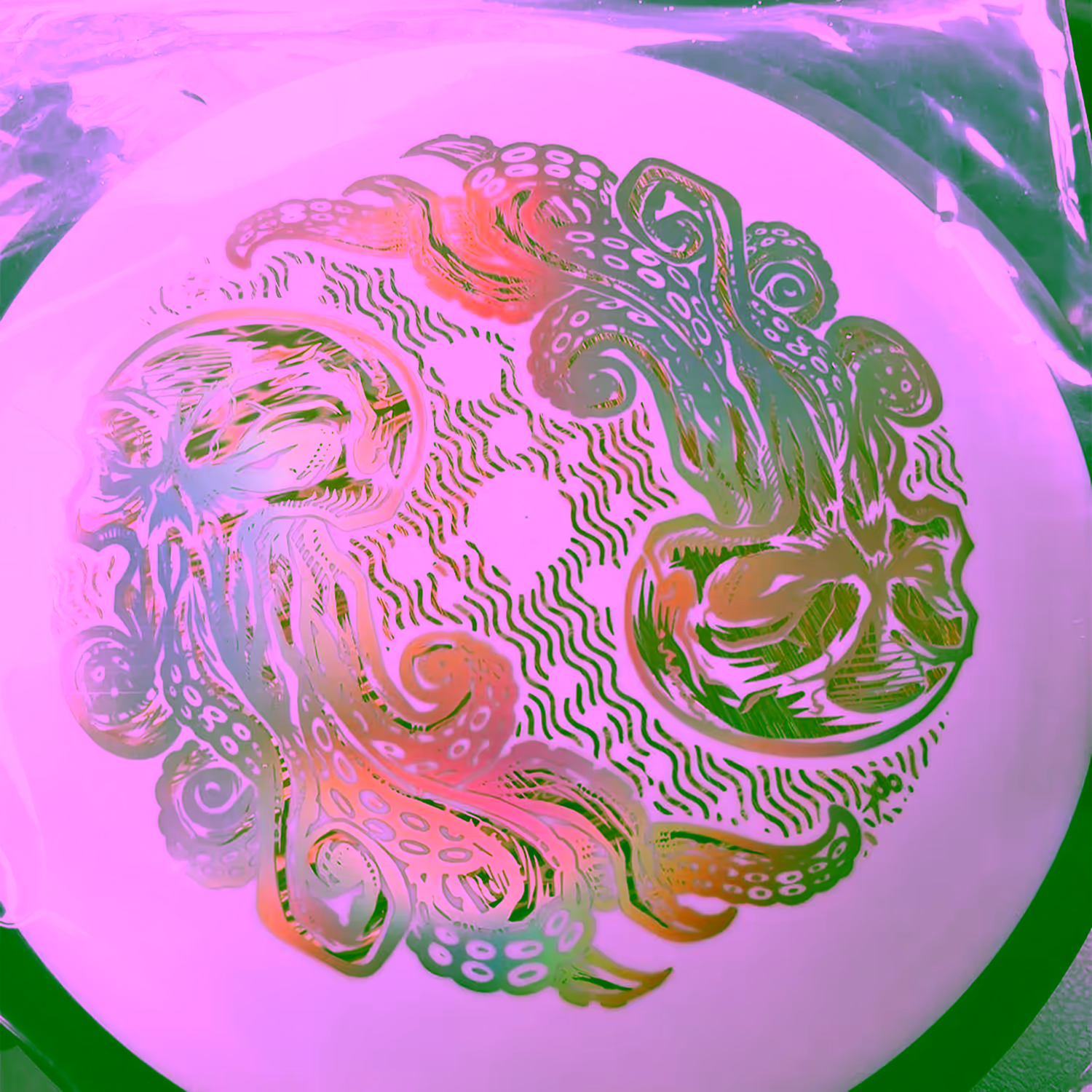 Wave  | 📸: Billy Baska