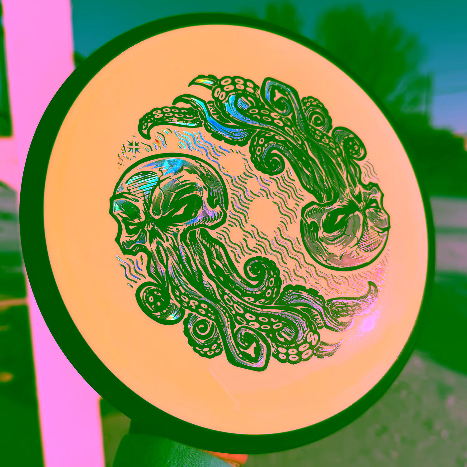 Volt | 📸: Alex Cue