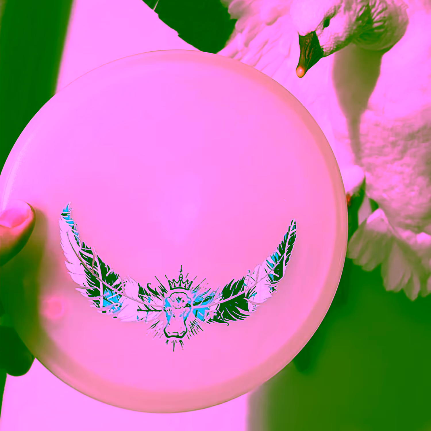 Total Eclipse Proxy | 📸: Bobby Drew