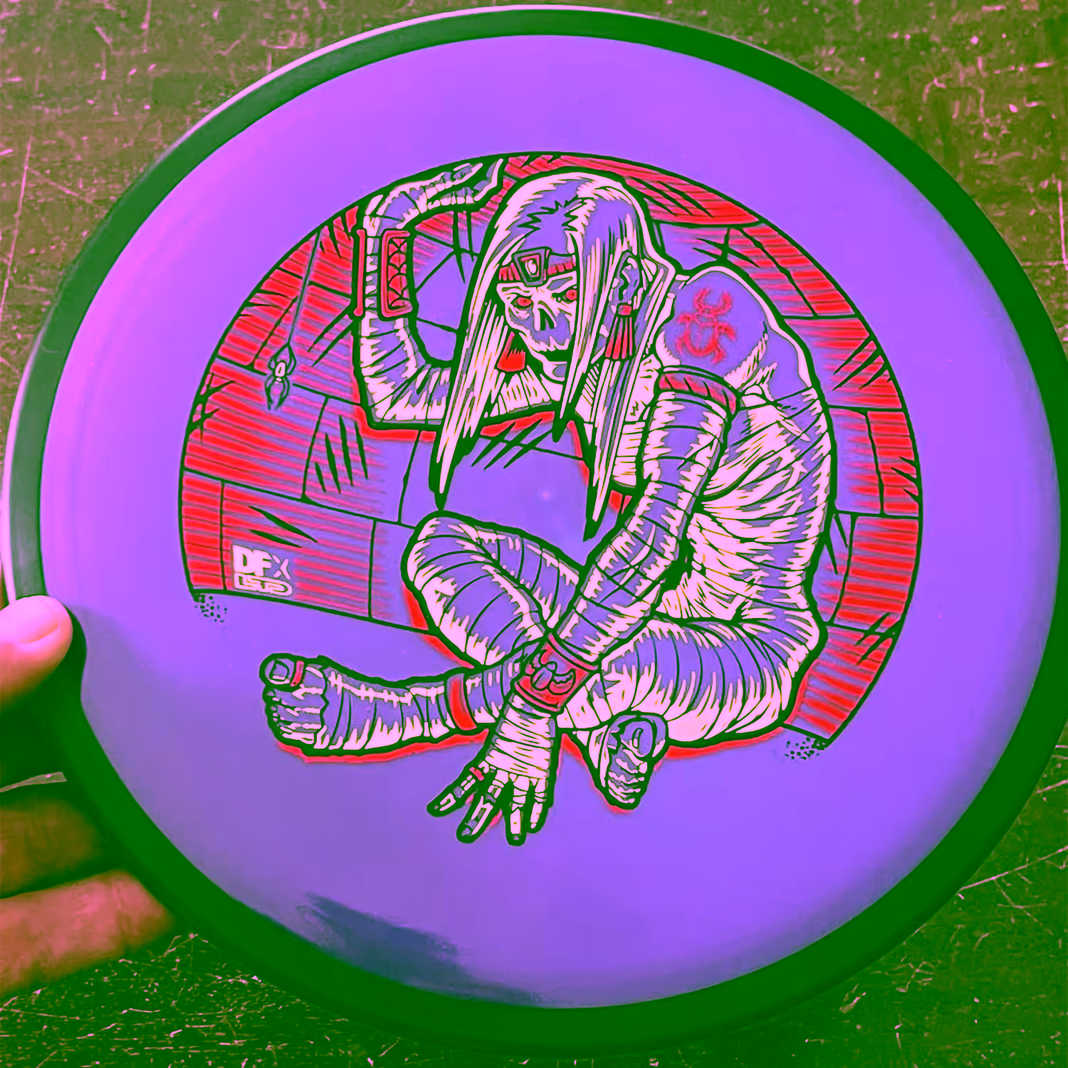 📸: Shahab Farzanegan