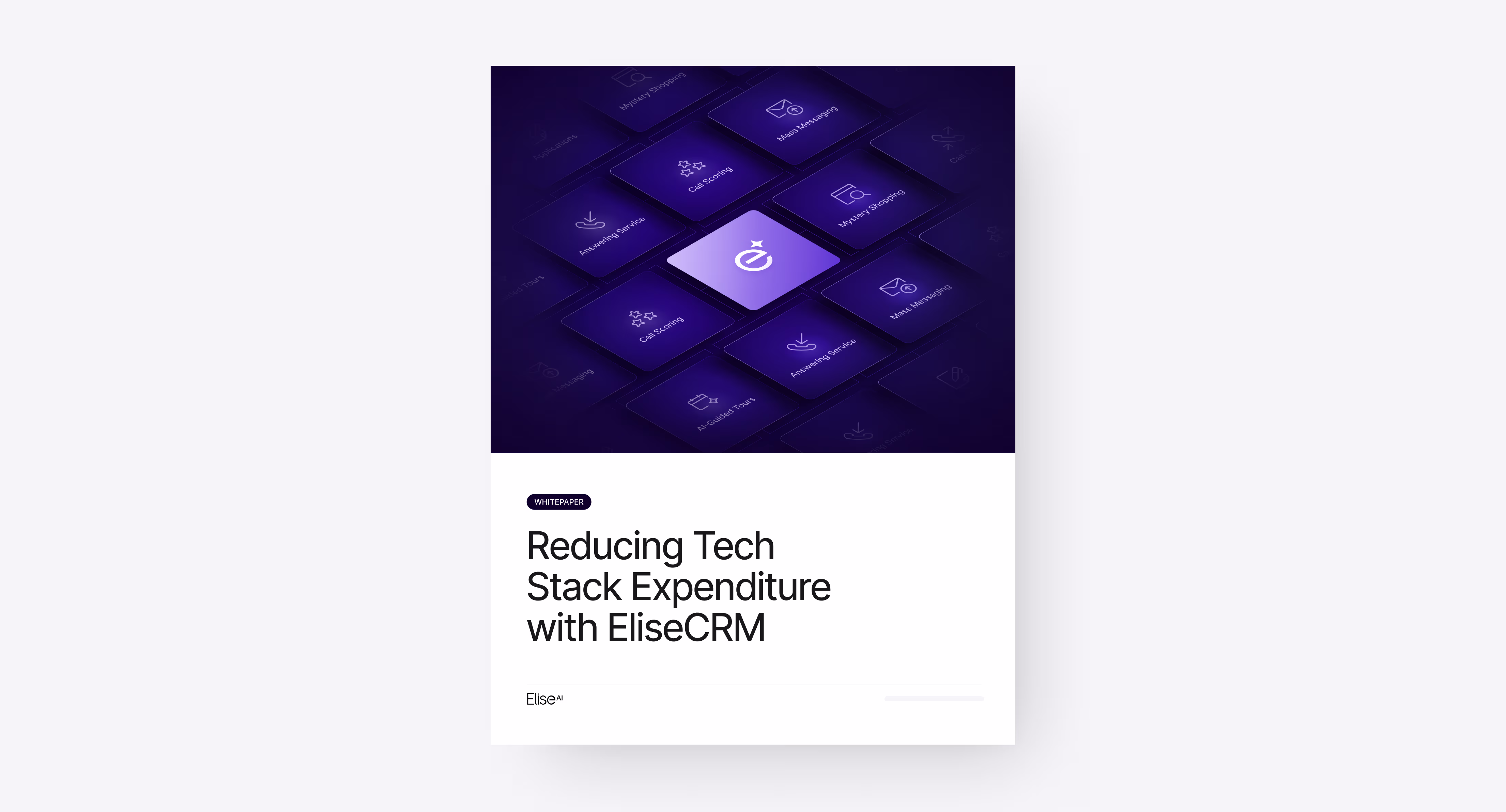 Reducing Tech Stack Expenditure with EliseCRM (New)