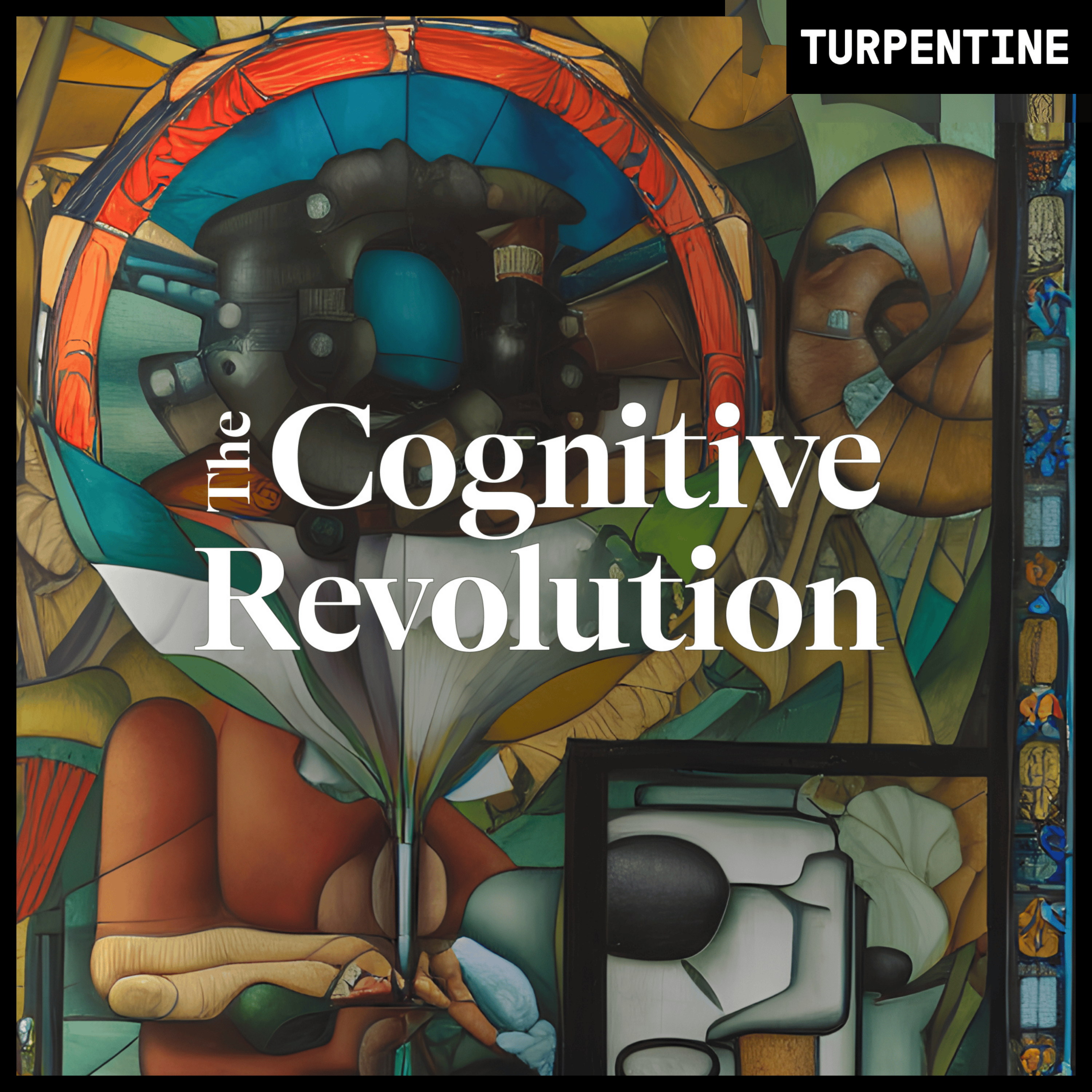 The Cognitive Revolution podcast