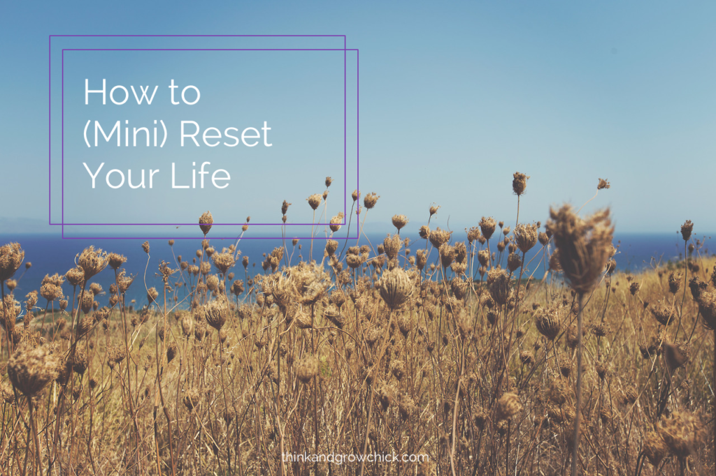 mini life reset