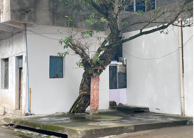 Official website screenshot of the standard (original page in Chinese, translated)