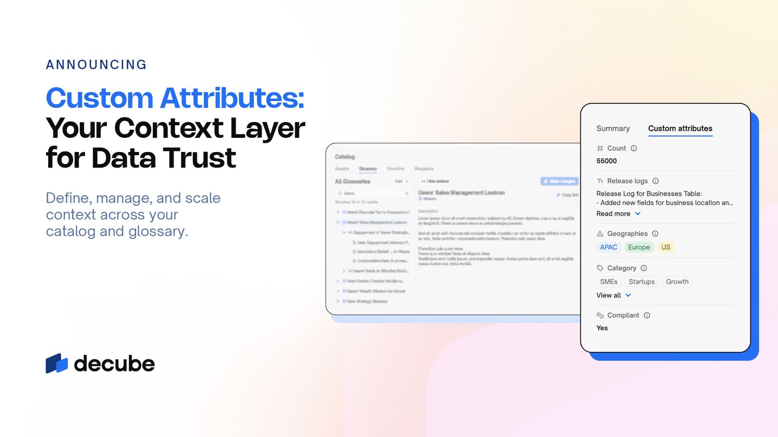 Build a Business-Ready Catalog with Custom Attributes | Decube