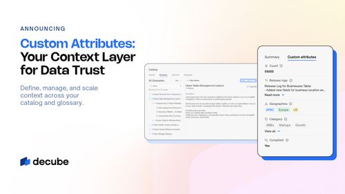 Build a Business-Ready Catalog with Custom Attributes | Decube