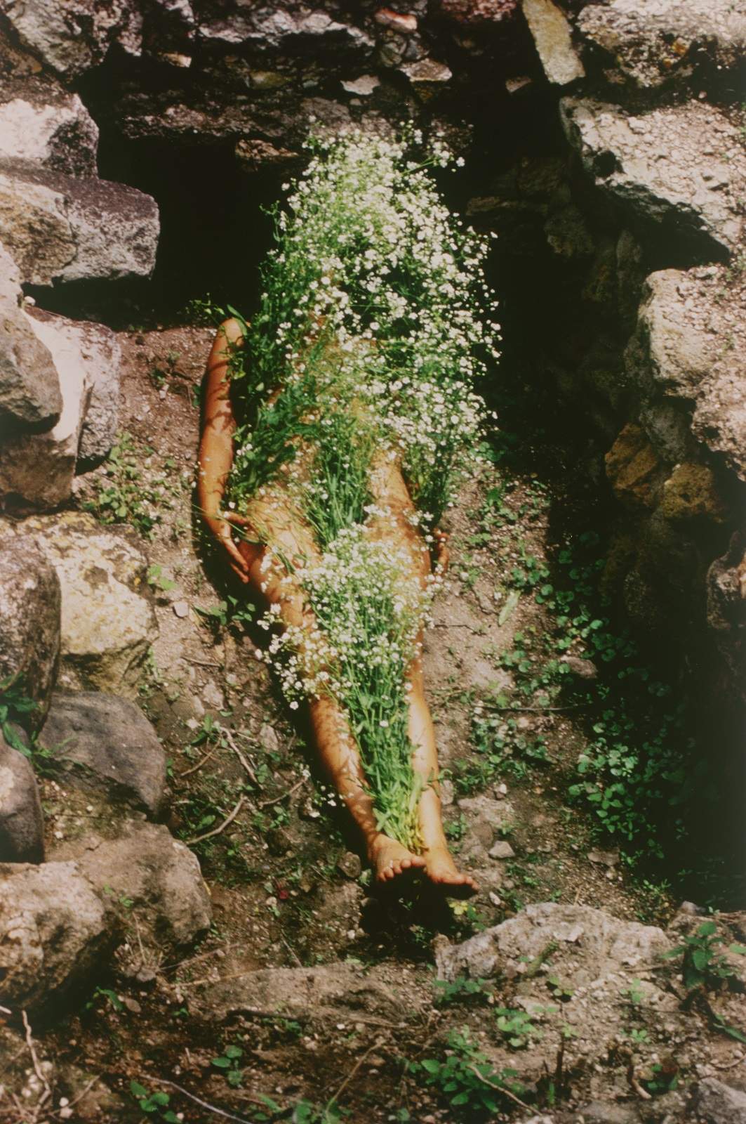 Ana Mendieta Returns to the Spotlight at Tate Modern: A Landmark Exhibition Reassesses an Influential Voice
