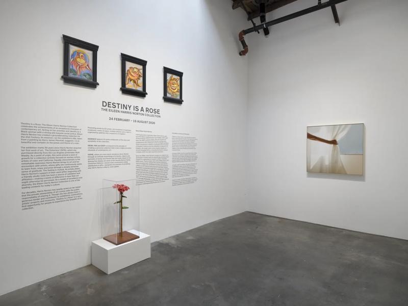 What 50 Years of Collecting Can Teach Us: Inside Eileen Harris Norton’s ‘Destiny Is a Rose’