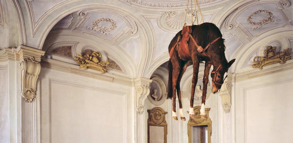 Maurizio Cattelan's Novecento, 1997, a taxidermied horse suspended from the ceiling.