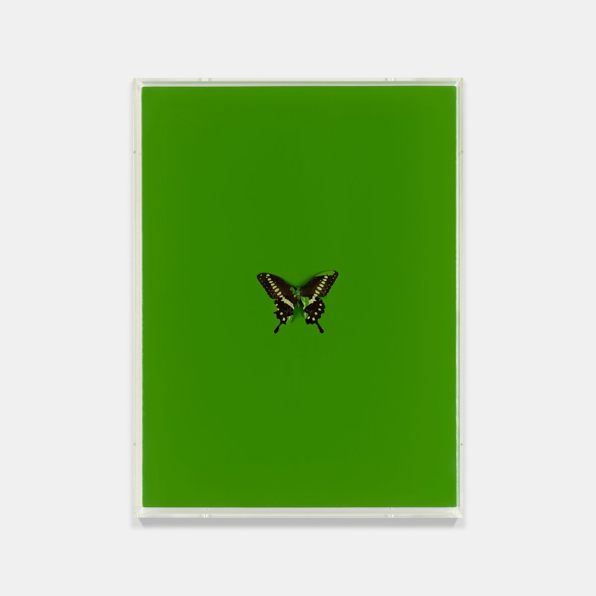 Damien Hirst, Love Poem, 2008