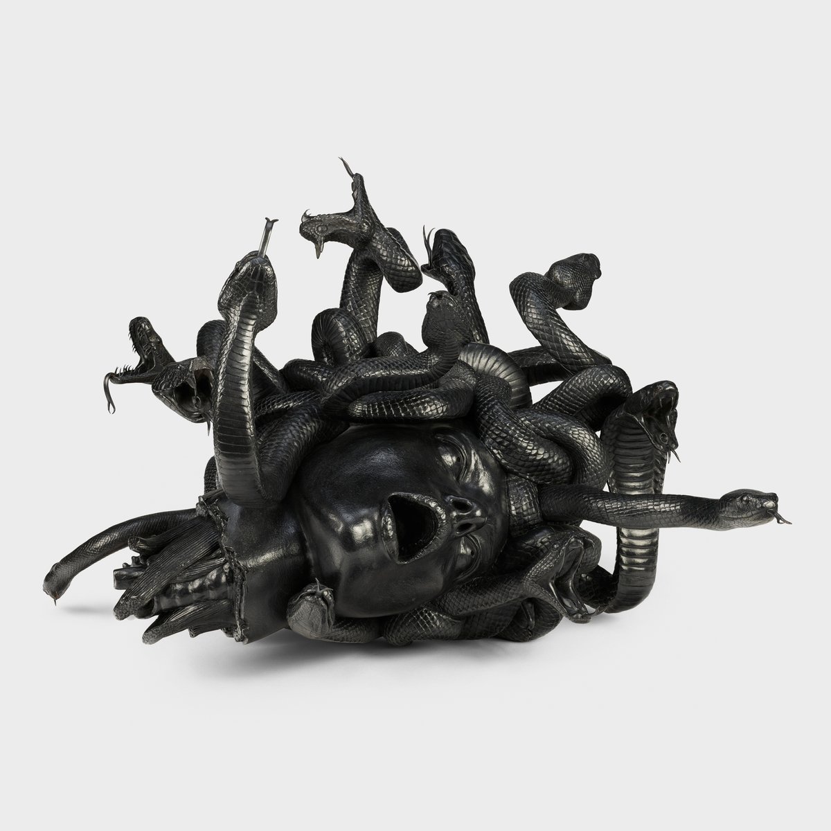 Damien Hirst, The Severed Head of Medusa, 2008
