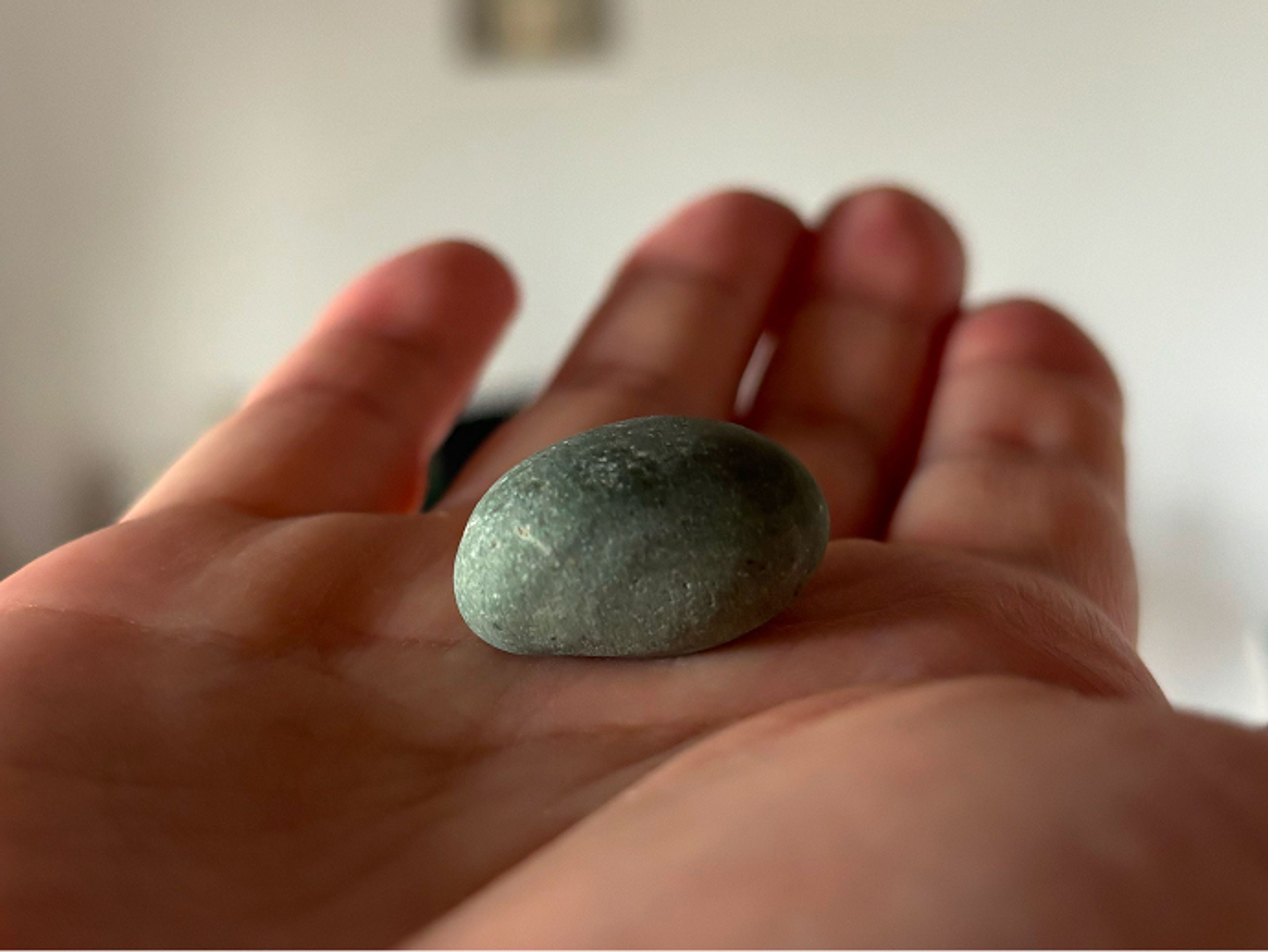 A stone collected by Daichi Takagi during his research. Photo courtesy the artist.