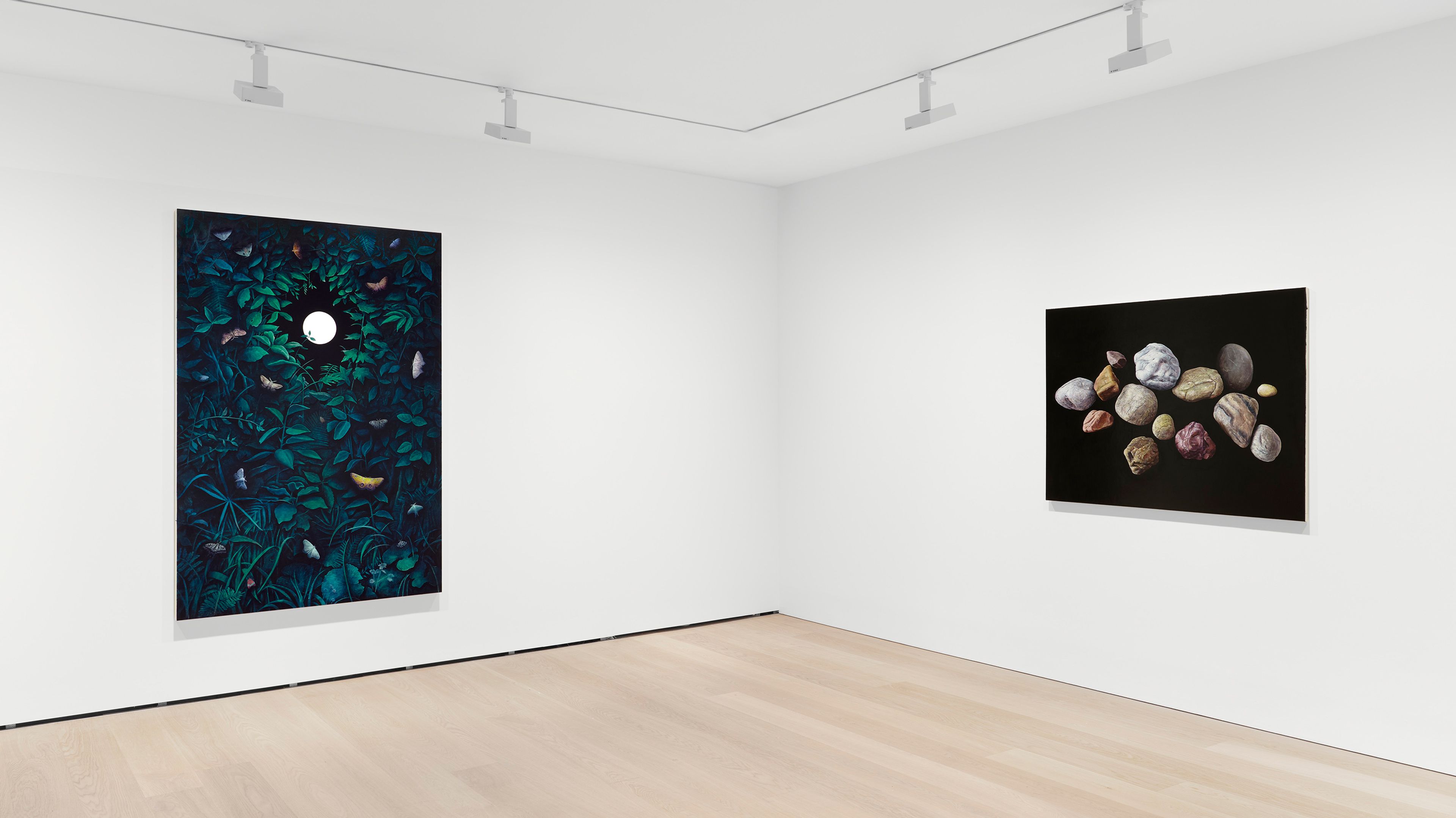 Installation view, Daichi Takagi: Suchness, David Zwirner London, 2026.