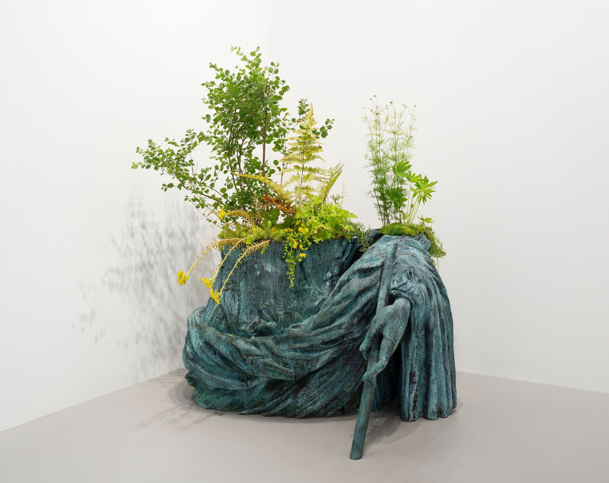 Iván Argote Wild Flowers 2024 context