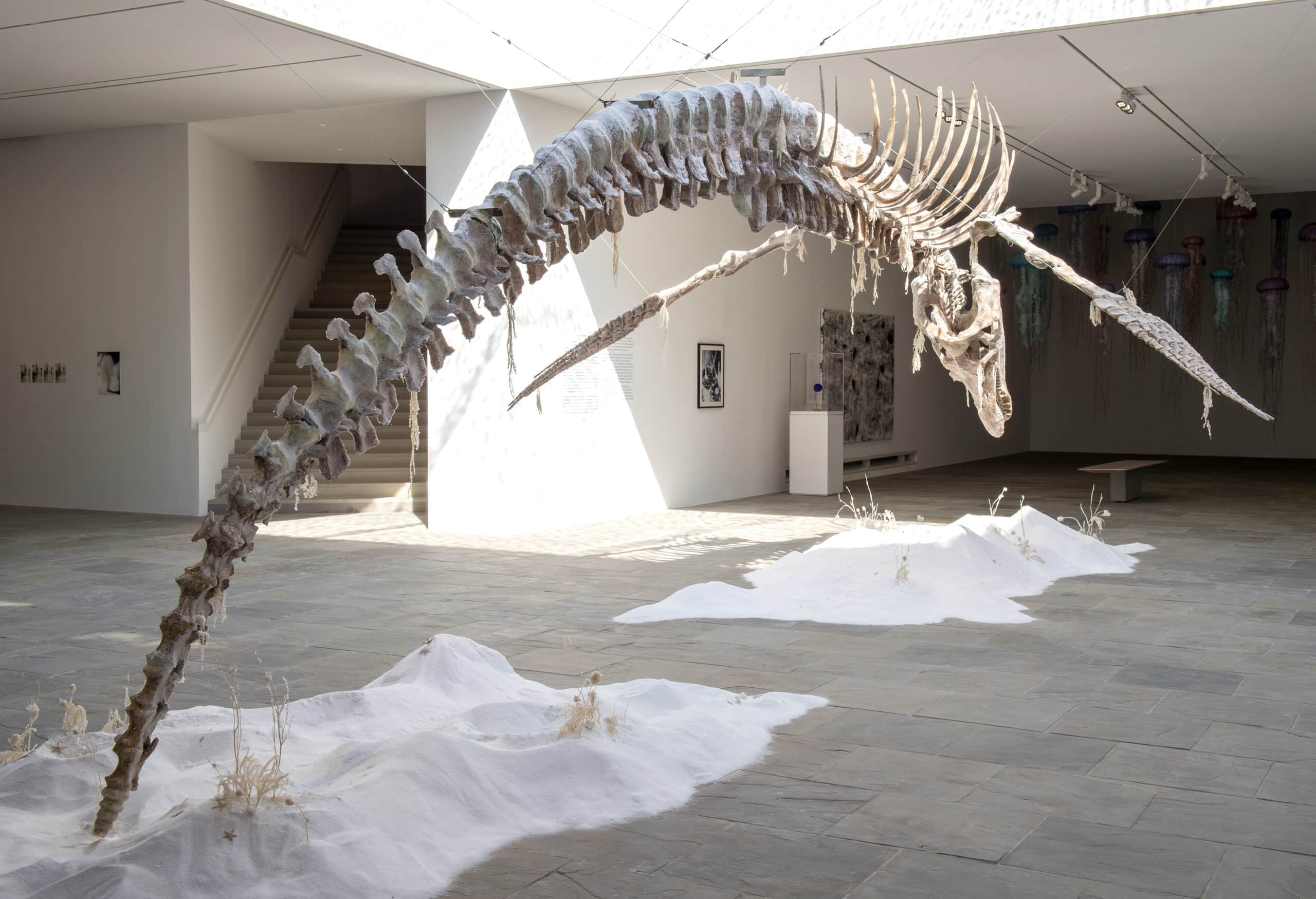 Bianca Bondi installation context