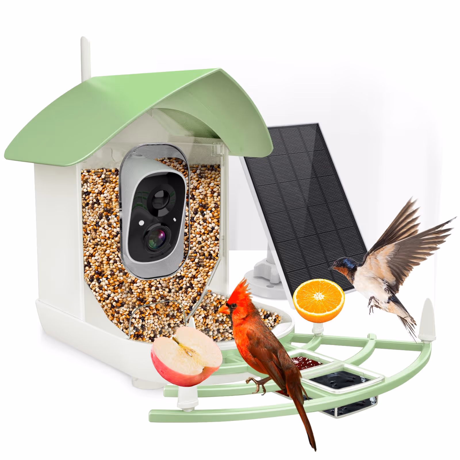 Fazoxo Bird Feeder with Camera
