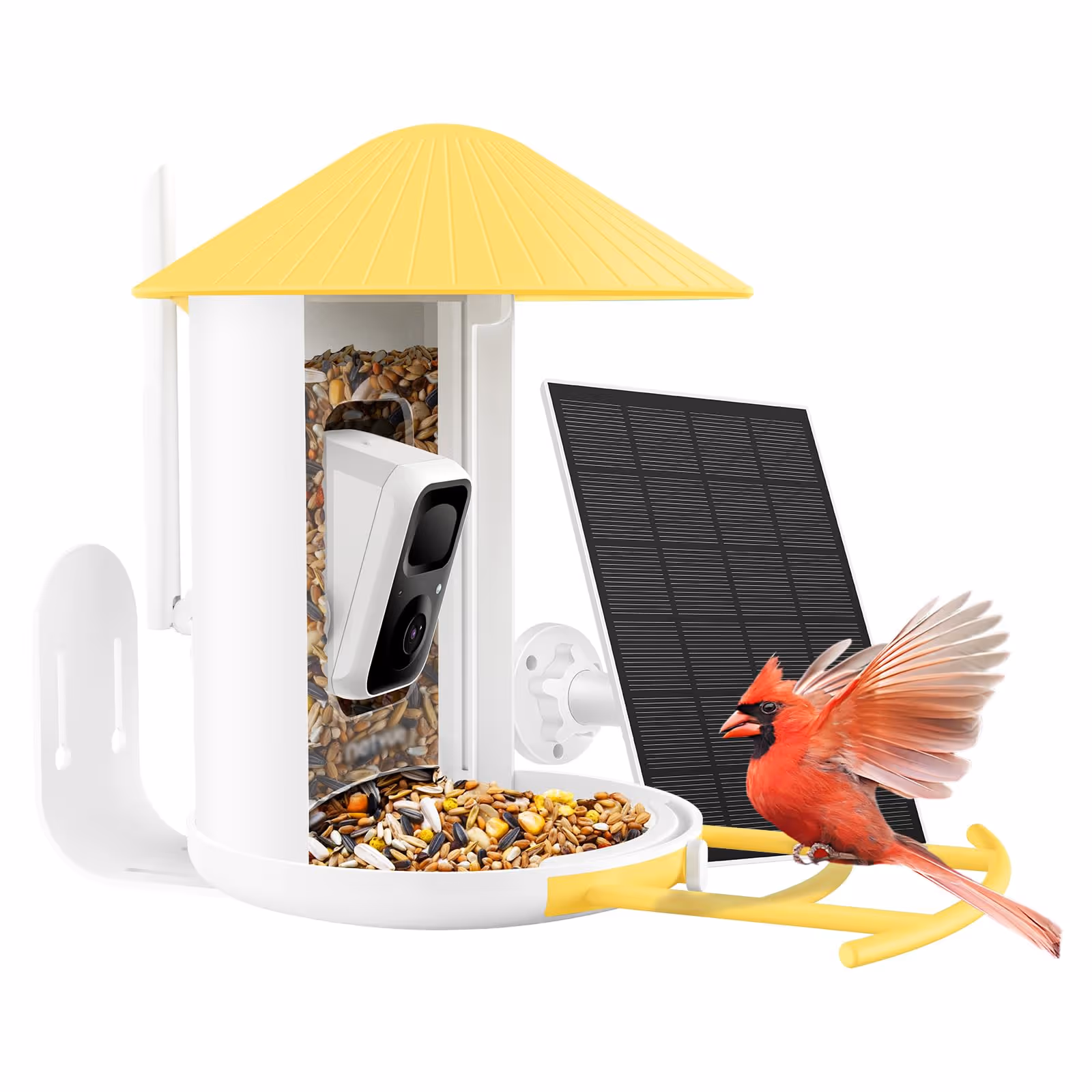 NETVUE Birdfy Lite- Smart Bird Feeder Camera