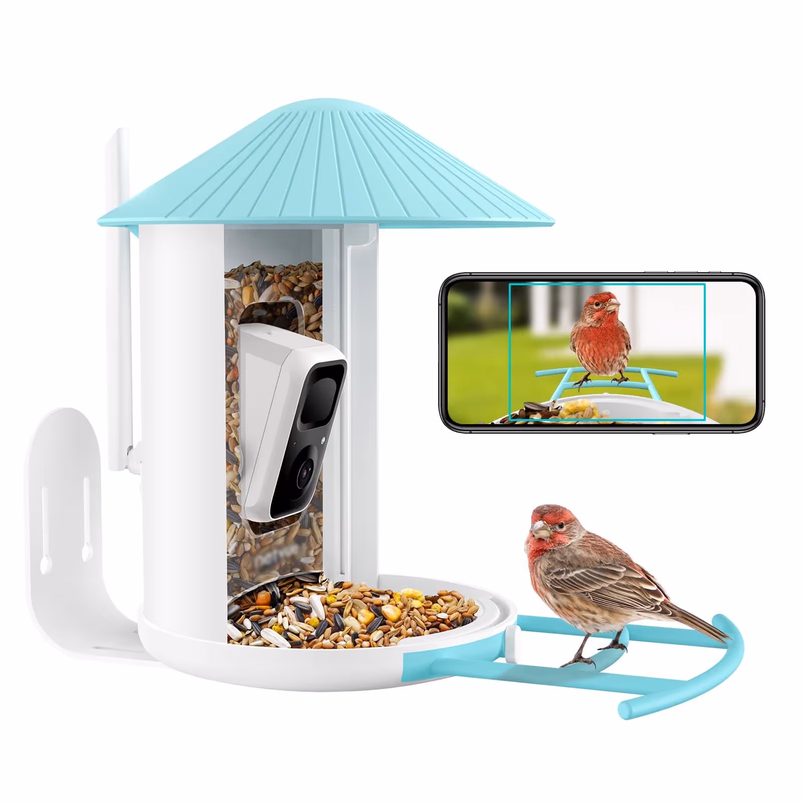 NETVUE Birdfy Lite