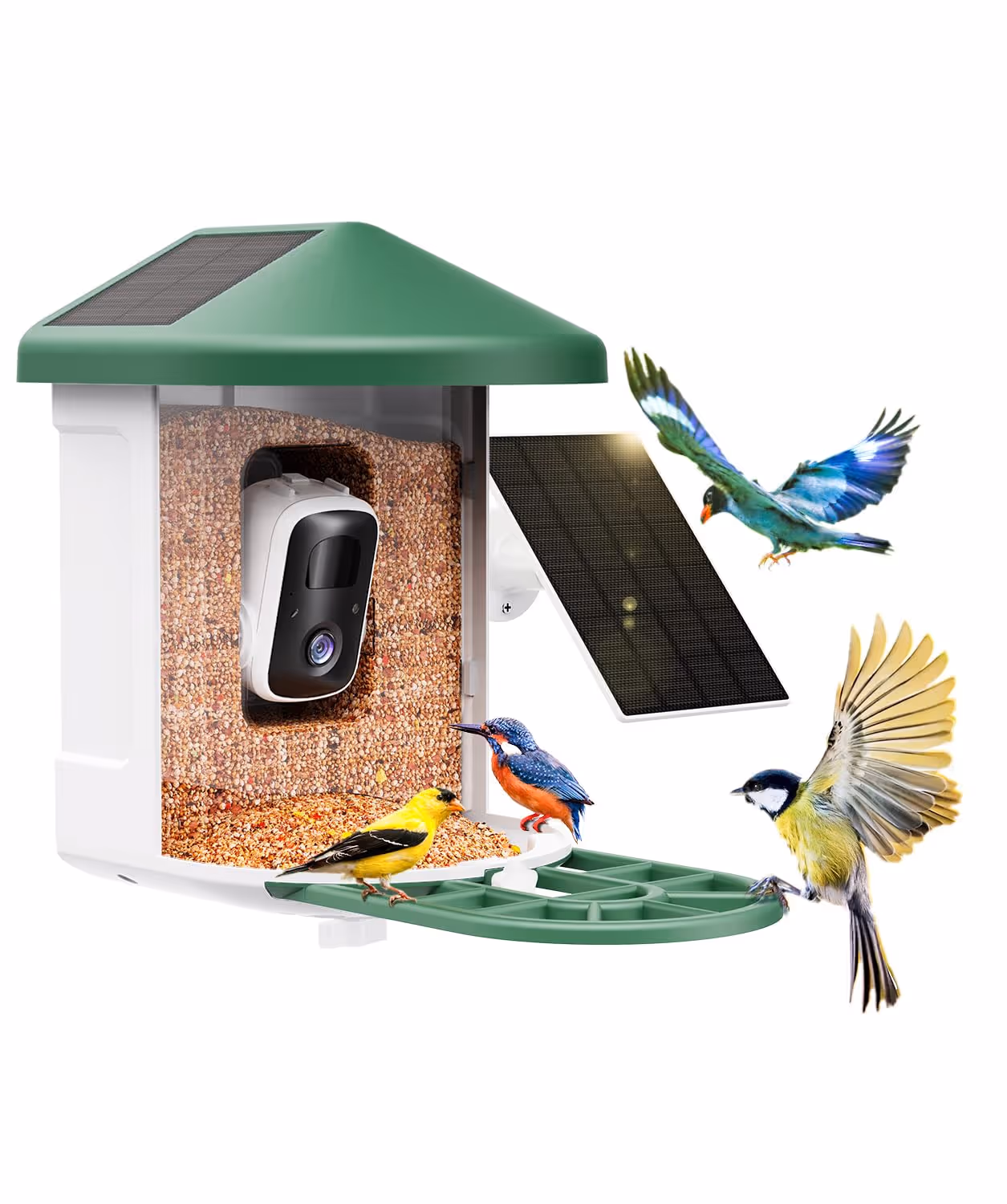 HARYMOR Smart Bird Feeder with Camera