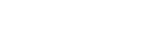 RINNOVISION INC.