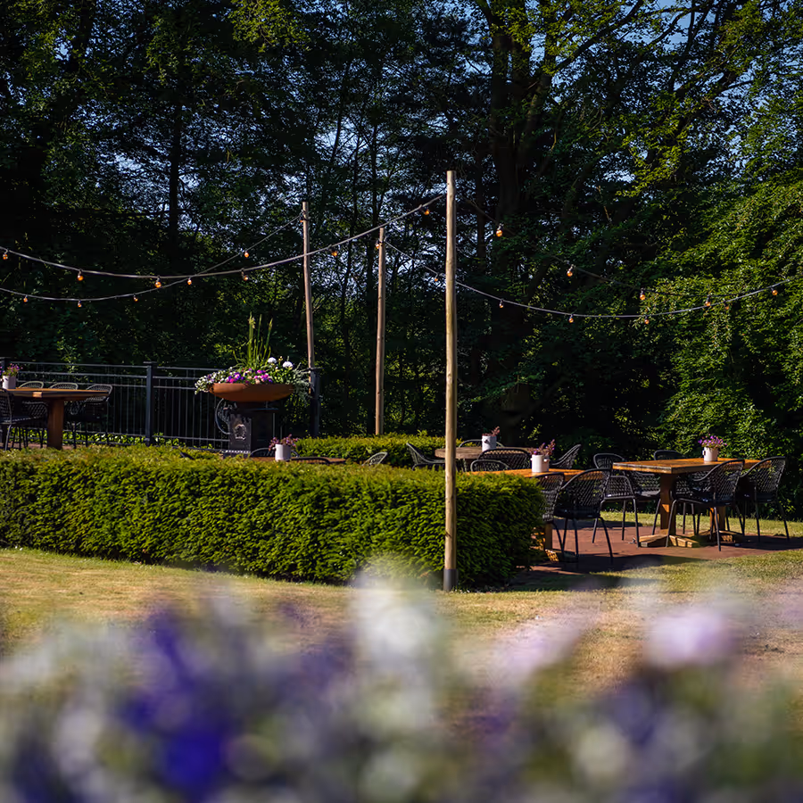 Terras